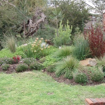  Famous Garden Bed Designs Australia 2022 