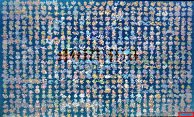 オメガルビー Oras 図鑑完成特典アイテム 賞状まとめ 時をかけた証含む