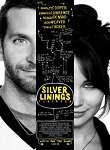 Silver Linings 2013 