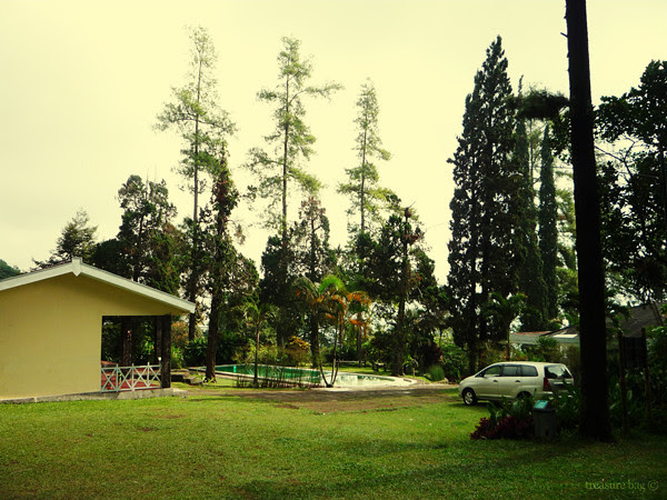 the overall view
