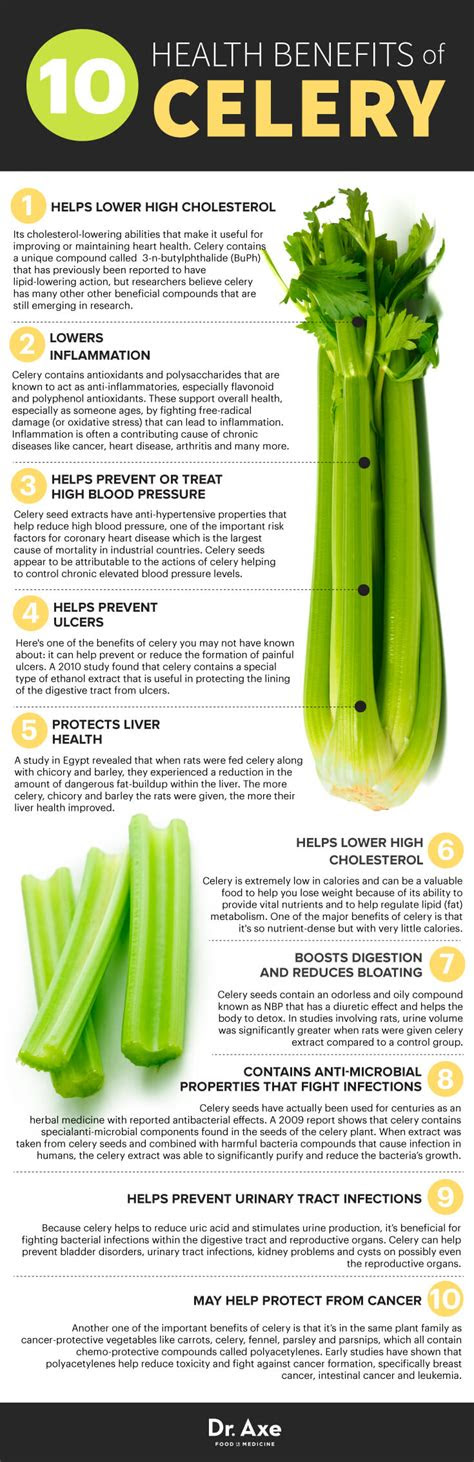 benefits celery nutrition facts recipes dr axe
