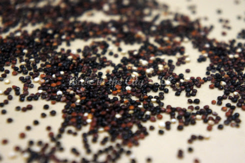 Black Quinoa