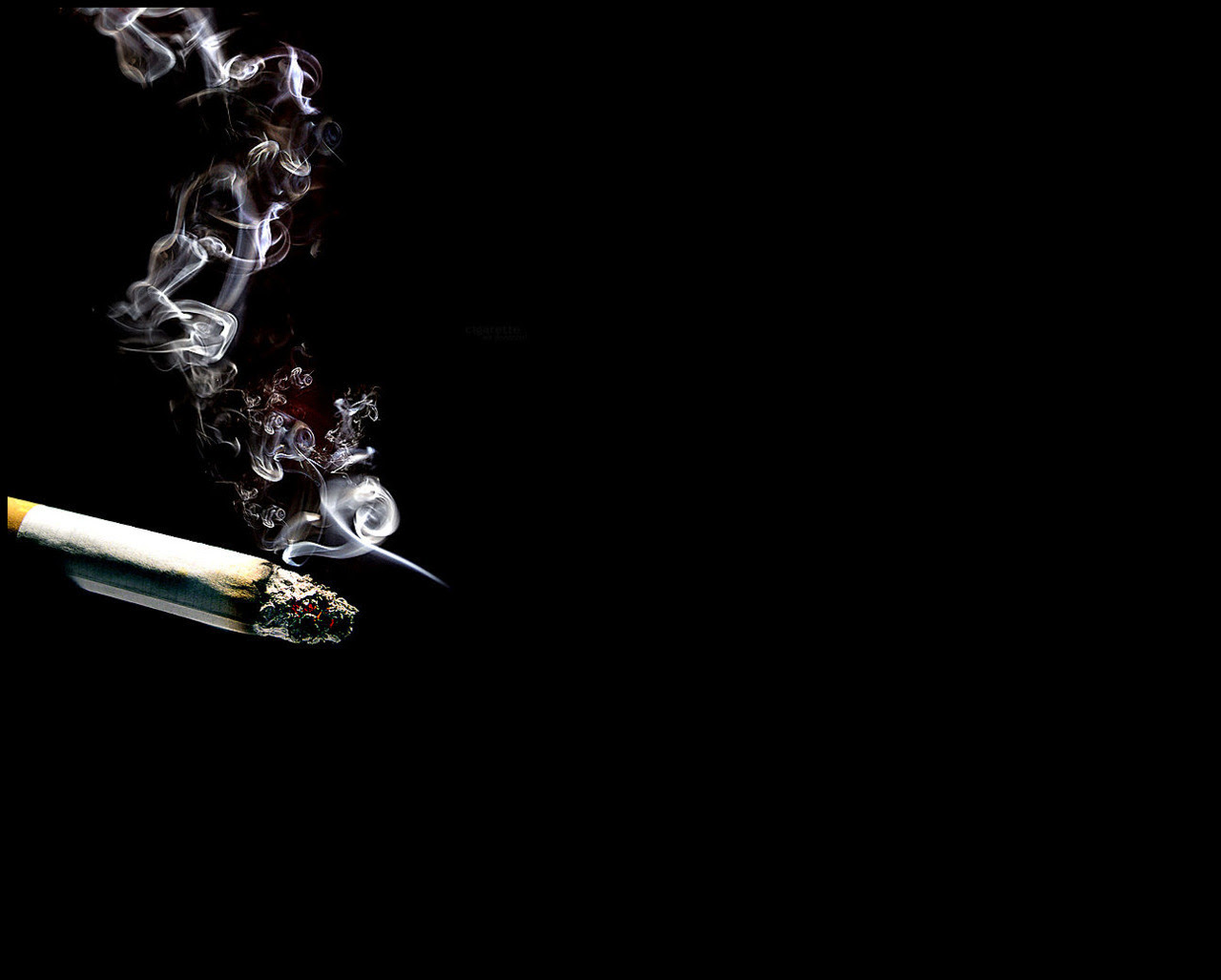 http://25.media.tumblr.com/tumblr_m158ms8FAl1qavrxlo1_1280.jpg