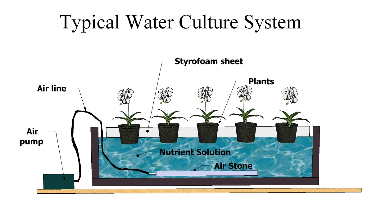 Types of Hydroponic Systems, Part 1 | Hydroponics Blog - Hydroponics ...
