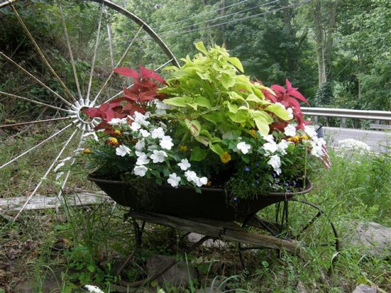 Landscaping Ideas & Garden Ideas > Get Creative With Containers ...