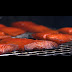 Traeger Recipes For Smoked Salmon - Pin On Recipes To Try : Smoked salmon breakfast ideas :