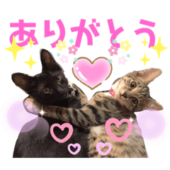 バステトありがとう Lineスタンプ Tomokomorita