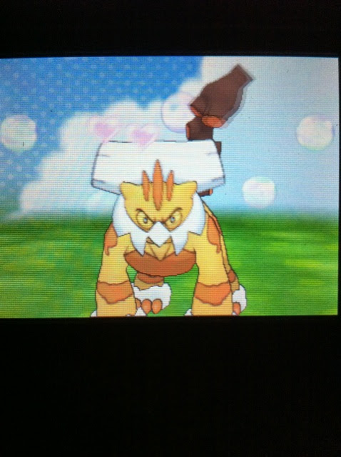 ランドロス Oras 色違いに釘付け