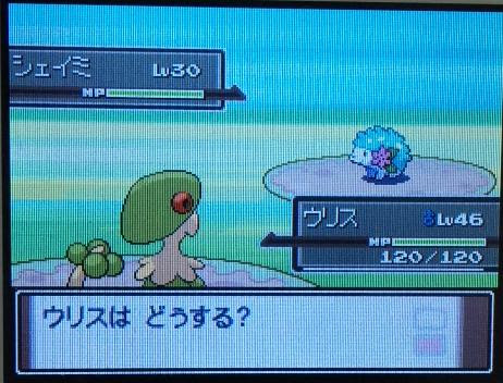 色違い伝説のポケモン 大人のポケモン道