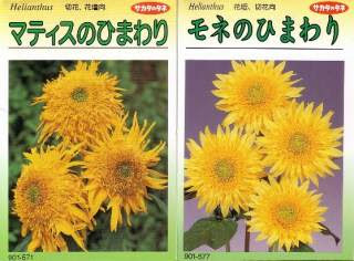 四種類のひまわり 青い日記帳