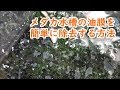 【印刷可能】 水槽 油膜取り ティッシュ 703397-水槽 油膜取り ティッシュ