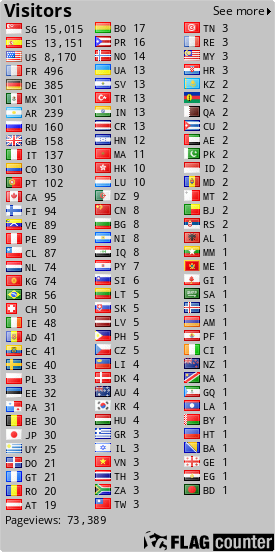 Flag Counter