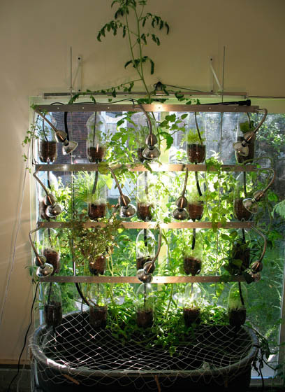 vertical theory: farming in urban environments - IMAGE ...