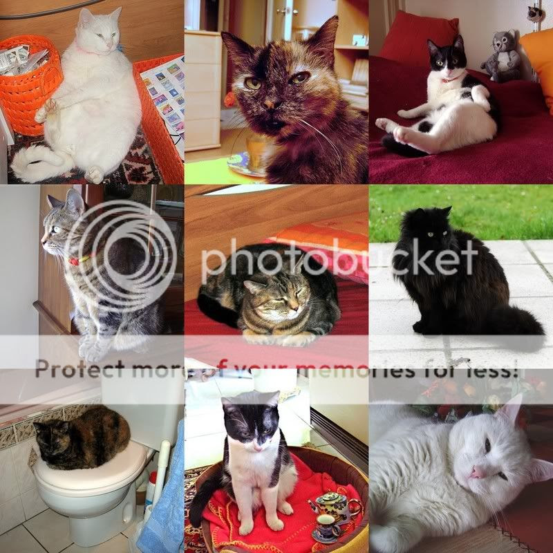 Photobucket