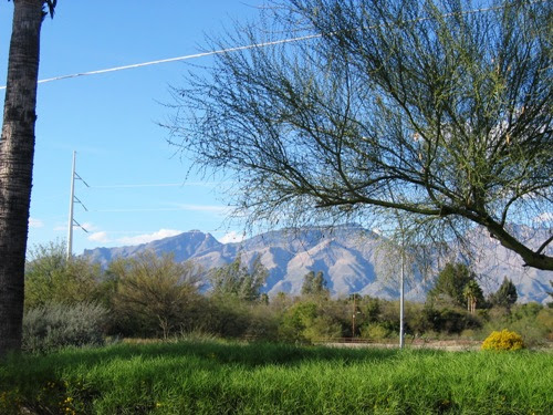 The view from Target on Grant, 3/15.