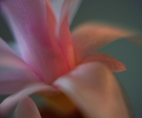 SDIM6043