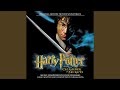 Which Harry Potter Movie Has The Best Music : Harry Potter Movies Hamilton Public Library Bibliocommons - The series is distributed by warner bros.