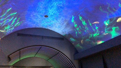 北海道小众景点推荐 北海道昆布馆 五感昆布体验让人大开眼界 旅游界 Www Ctrip6 Com 中国旅游行业联盟官方网站