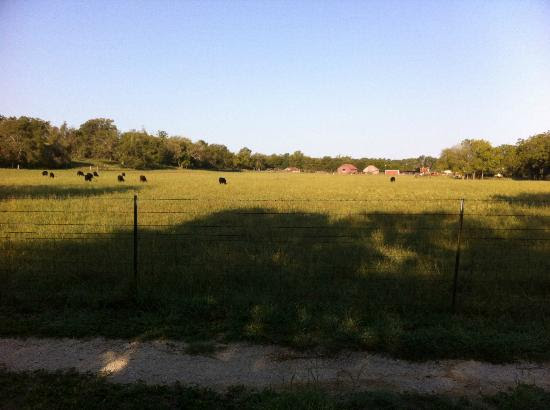 Blanco State Park Weather