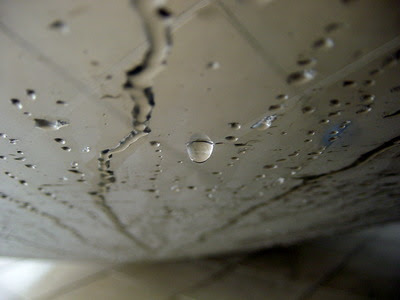 DSC00290