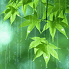 JellyMuffin.com - The place for profile layouts, flash generators, glitter graphics, backgrounds and codes