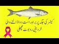 کینسر کی جگہ پر براہِ راست دوا ڈالنے والی خردبینی روبوٹ  Microscopic rob...