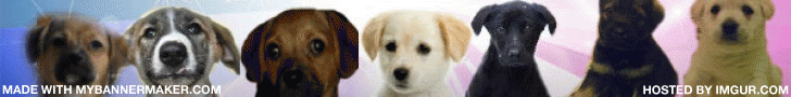 create your own banner at mybannermaker.com!