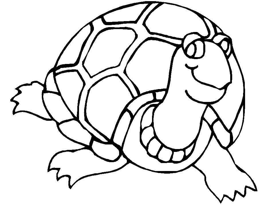 free coloring pages of turtles download free clip art free