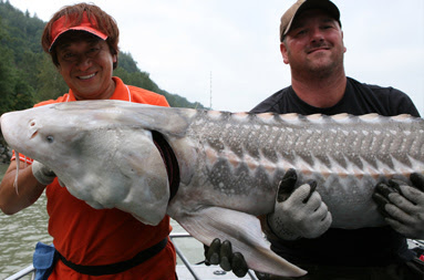 Jim Room 世界の釣果 村田基 Cafe Fishing カフェフィッシング