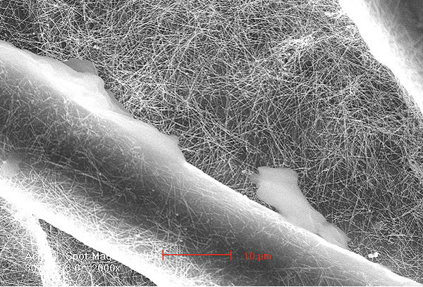 nanofilter-ed nanotechnology, water, drinking water, yi cui, sarah heilshorn,
stanford university, sustainable design, global development, health