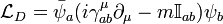 \mathcal{L}_{D} = \bar{\psi}_{a}(i\gamma^{\mu}_{ab} \partial_{\mu} - m\mathbb{I}_{ab})\psi_{b}\,