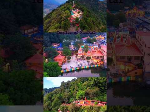 चित्र