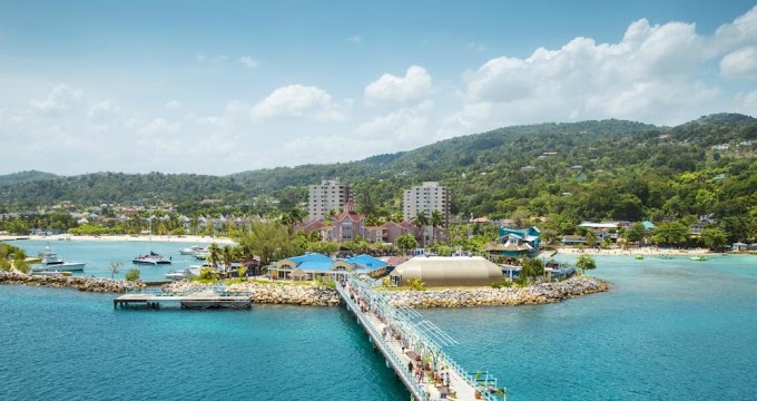 Best Blue Mountain Coffee Beans - Blue Mountains Blue Mountains (Jamaica) - walking tours / Sorting coffee beans at a jamaican coffee processing plant.