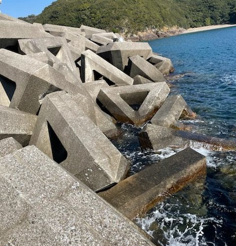 みそねの浜の堤防の釣り場紹介 春イカ狙いのエギングにおすすめのホンダワラわさわさポイント 三重県度会郡南伊勢 贄浦 ヒラマサとアオリイカを求めて
