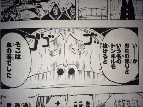 ショウジョウ One Piece ワンピースの画像付名言集 ネタバレ注意