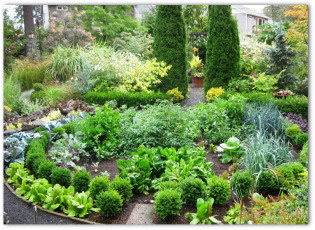 free garden layout designs