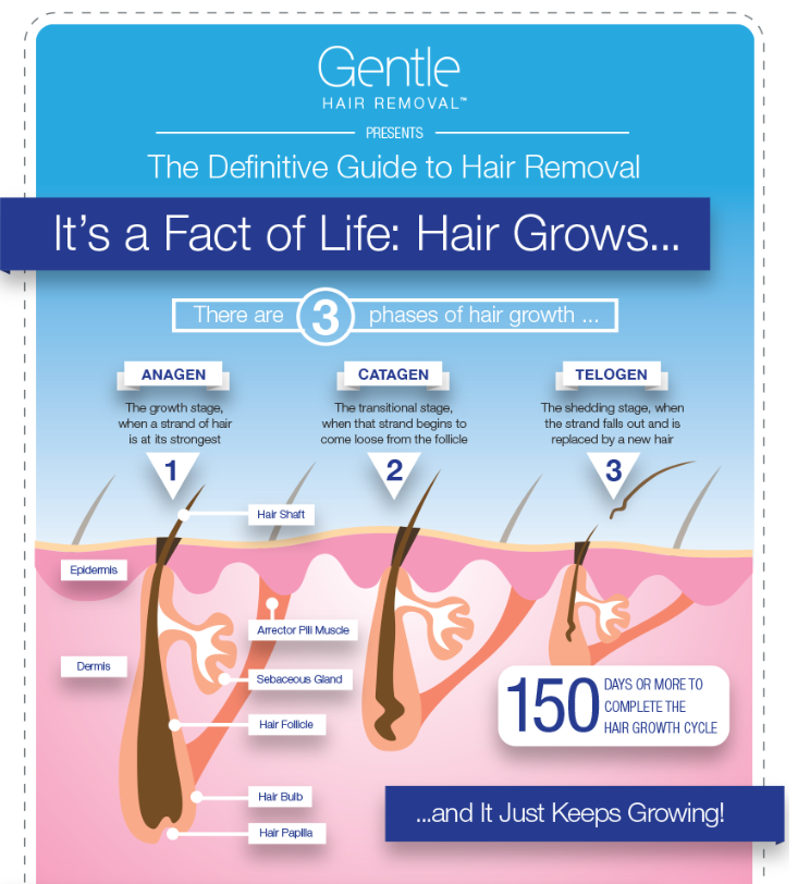 Laser Hair Removal Services Packages Murphys Retreat Hair