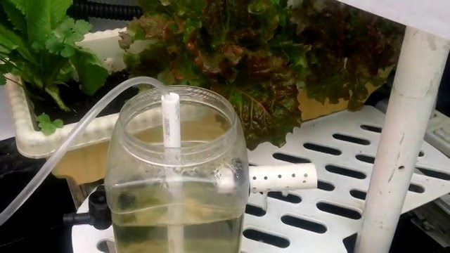 Diy Hydroponics Gardening - Homemade Water Pumps on Vimeo