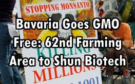 Bavaria GMO