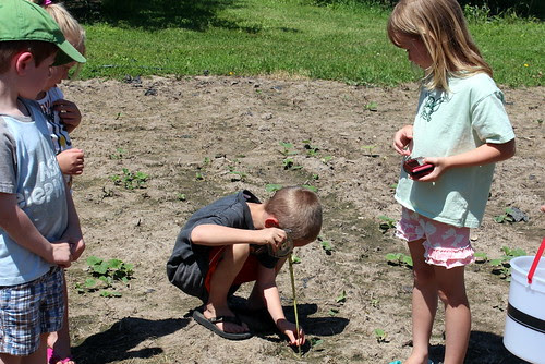 Kids in the Garden Week 2