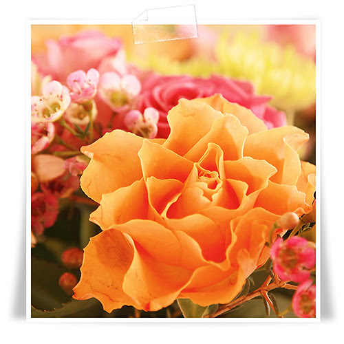 Blommor