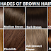 40 shades of brown hair color chart to suit any complexion - find the right shade of brown hair colour for glossy brunette locks in | hair color chart light brown