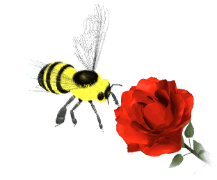 Gambar gambar Bunga Animasi ClipArt Best Gambar gambar Bunga Animasi ClipArt Best