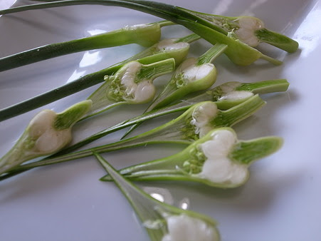 ニンニク栽培 にんにくの芽 茎ニンニク の収穫のタイミング 暇人主婦の家庭菜園 楽天ブログ