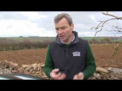 Forage Legumes - Difficult for Farmers to Resist?