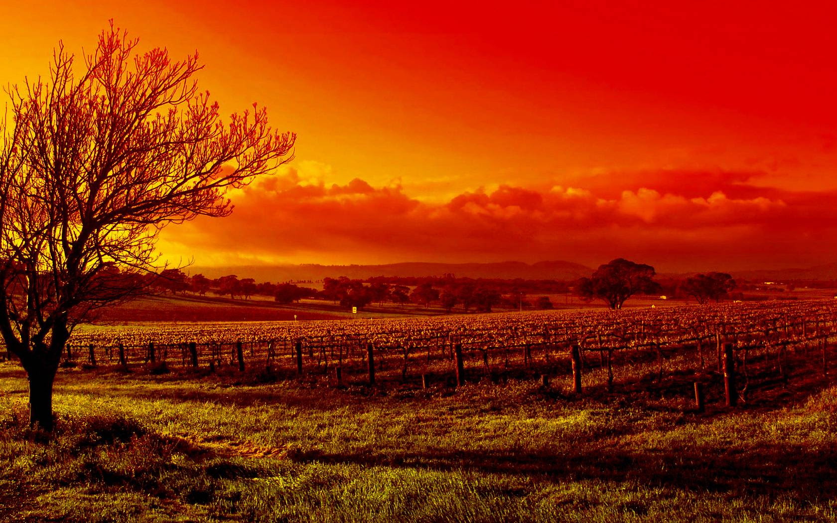 Wallpapers Of Nature Beauty - Wallpaper Cave