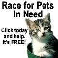 Photobucket Race For Pets