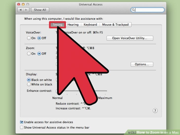 Zoom in on a Mac Step 4.jpg
