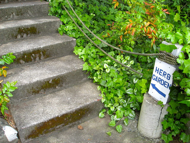Herb Garden