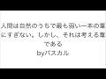 ++ 50 ++ パスカル 名言 意味 872207-パスカル 名言 意味